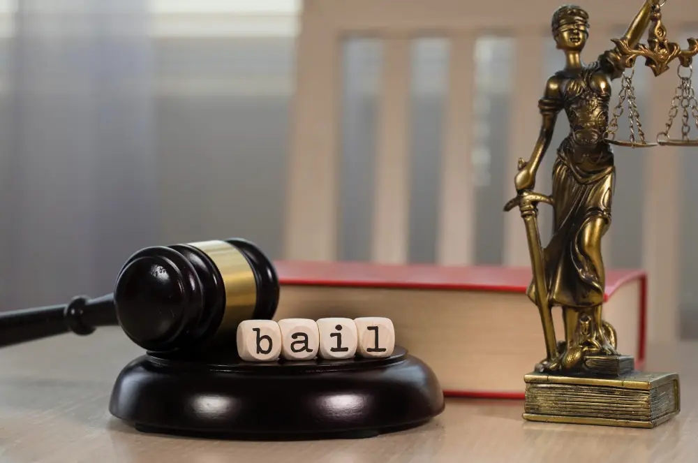 Ronnie D. Long Bail Bonds Banner Scales Of Justice And Gavel